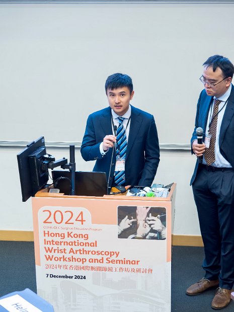 HK Wrist Course 2024- Seminar  - 96 of 257